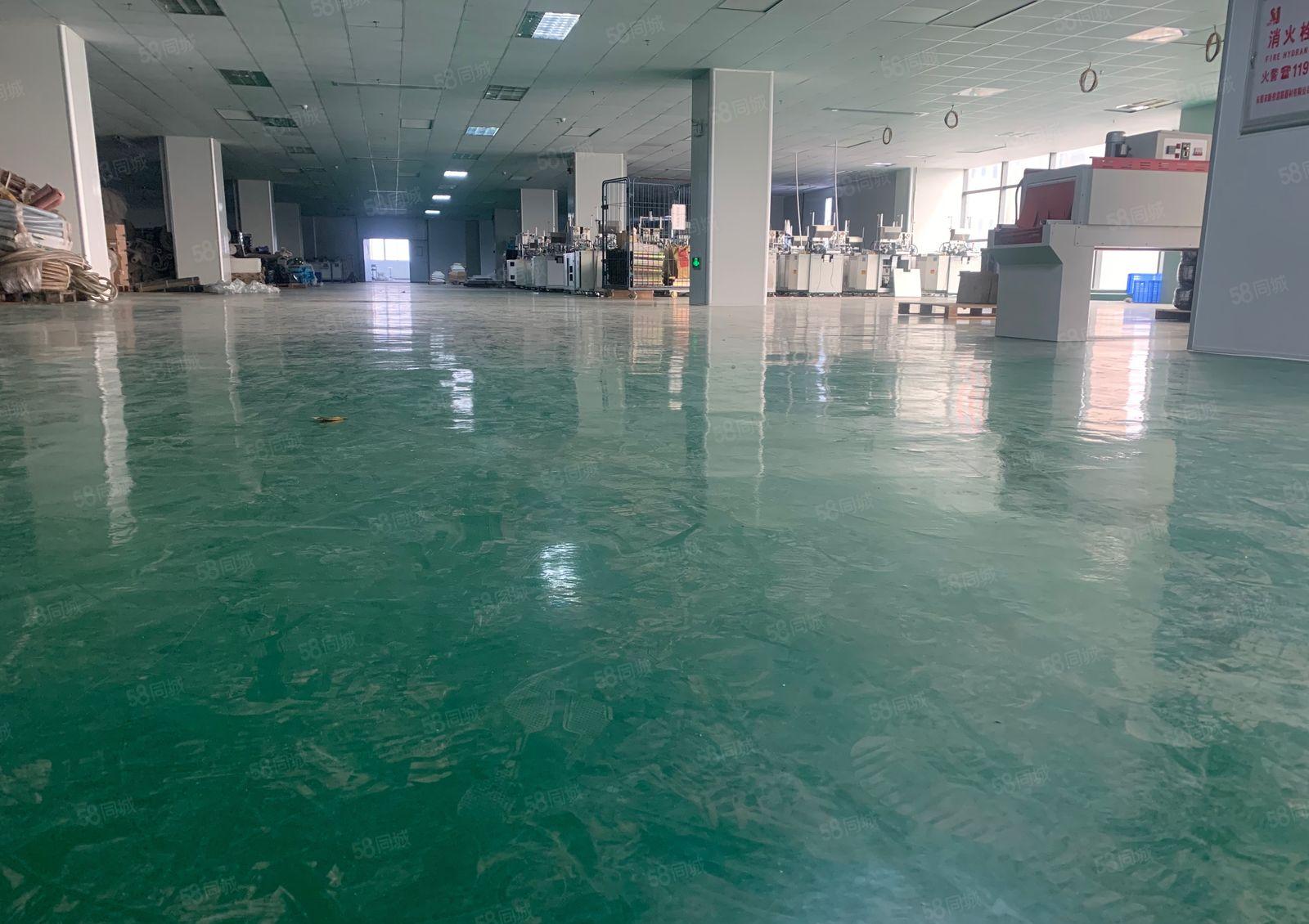 东城街道同沙工业区原户东厂房出租