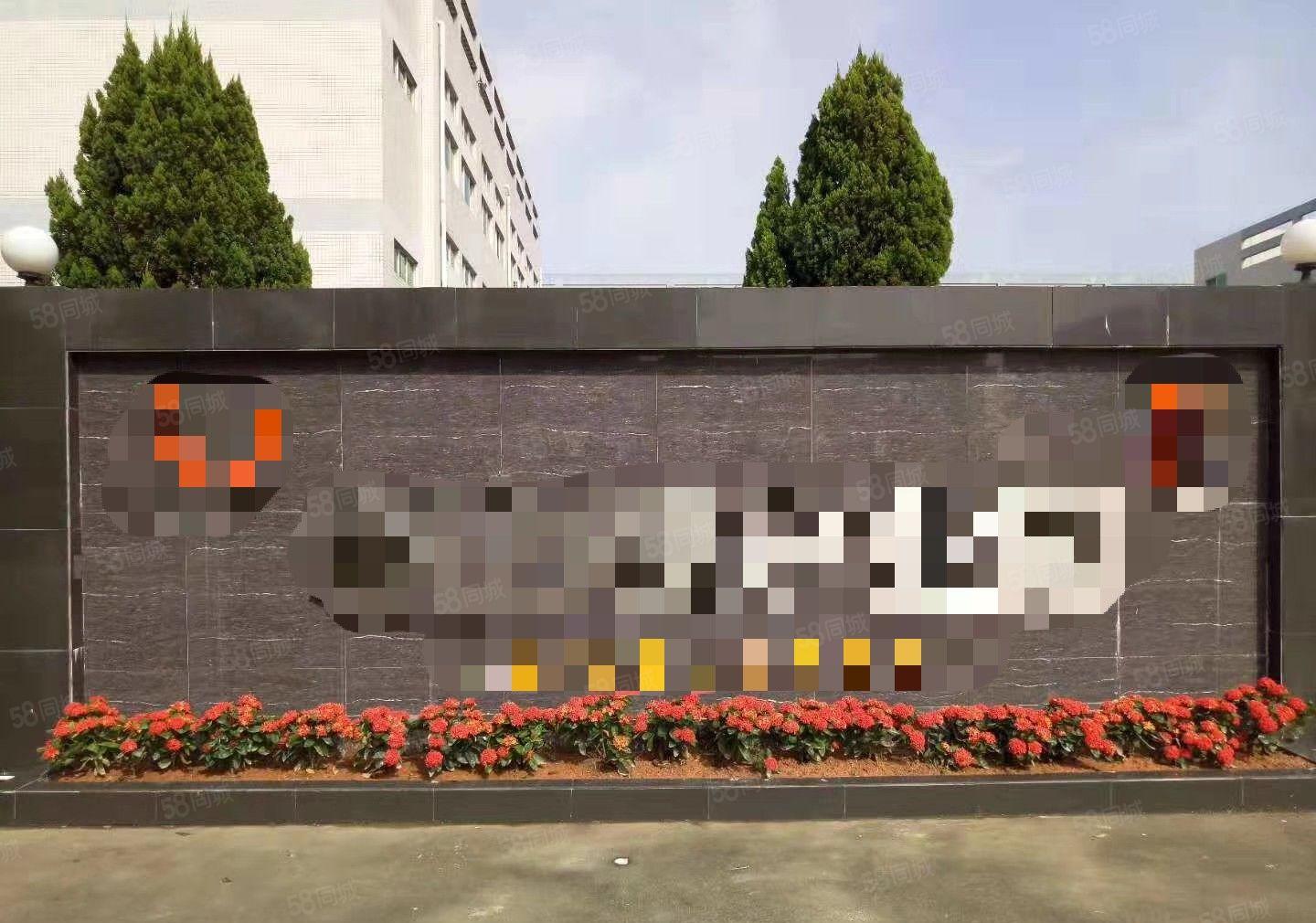 东城 温塘 全新厂房 共5000平方，10元急租