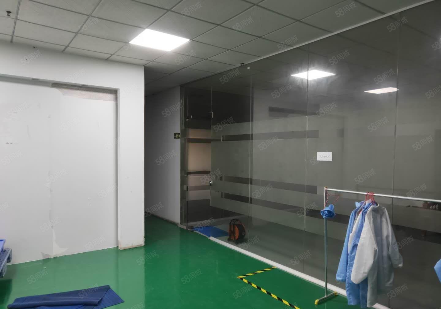 竹园新空出一楼全新无尘车间400方出租，楼高5.5米。