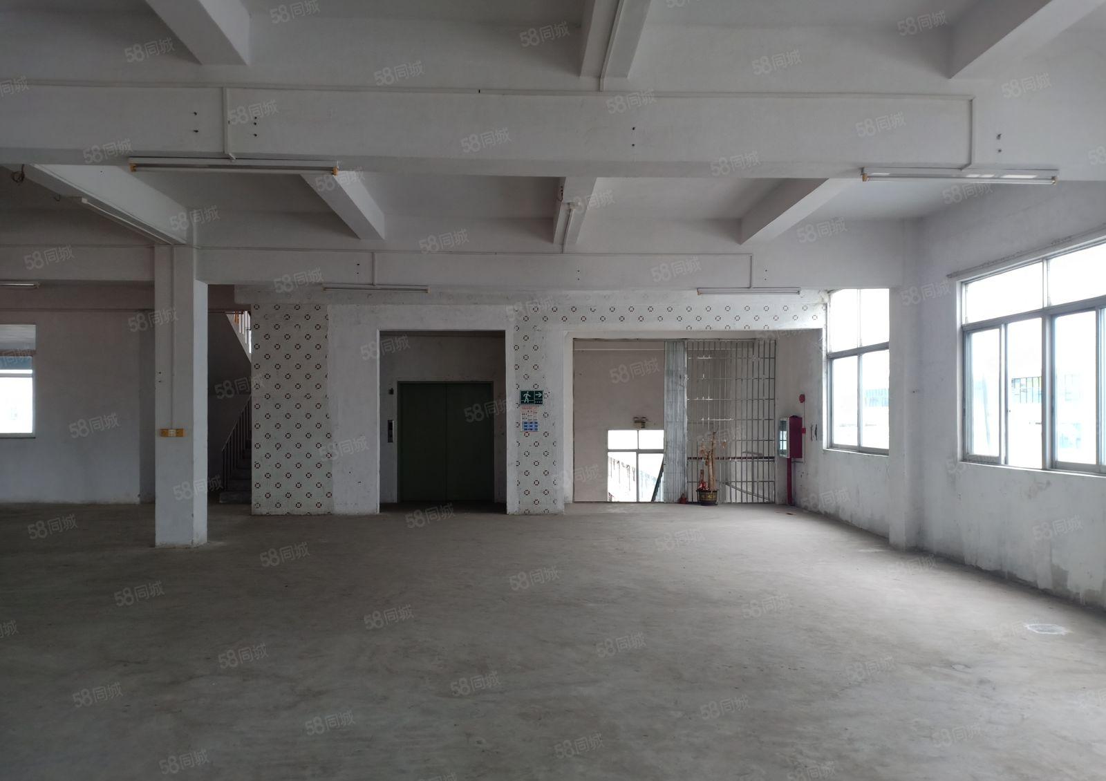 东城大井头900厂房出租