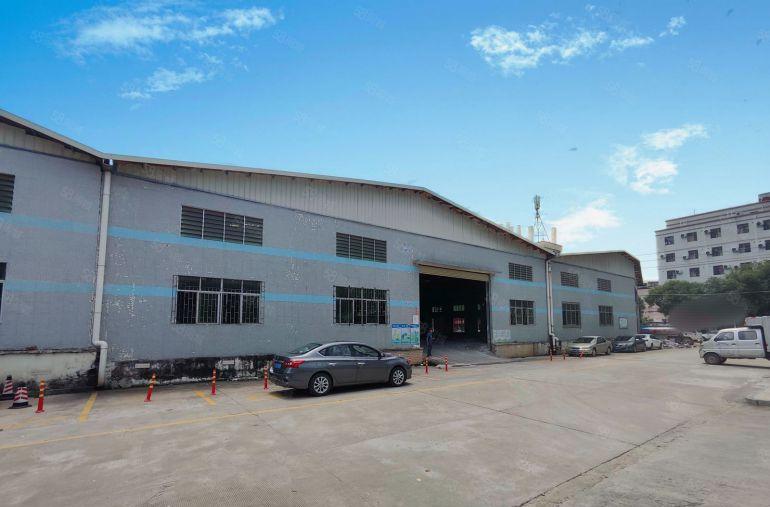 东城主干道边9000平方单一层钢结构铁皮房厂房出租大小可分租