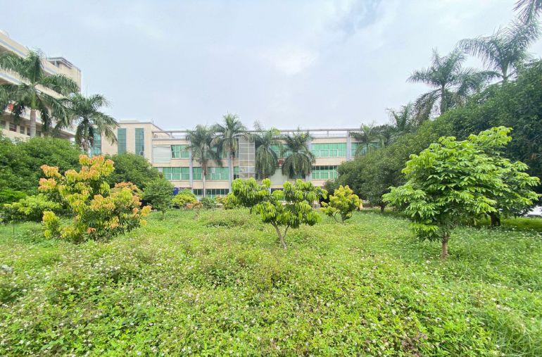 东城寮步交界原房东独院 花园式 带现成水电 消防喷淋