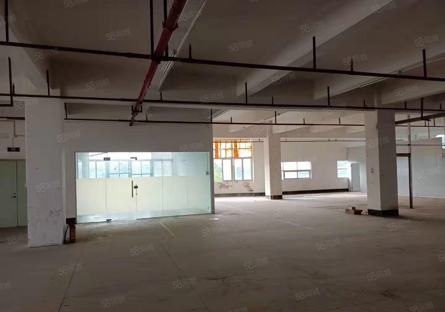 东城周屋工作园区厂房8000平方米可分租