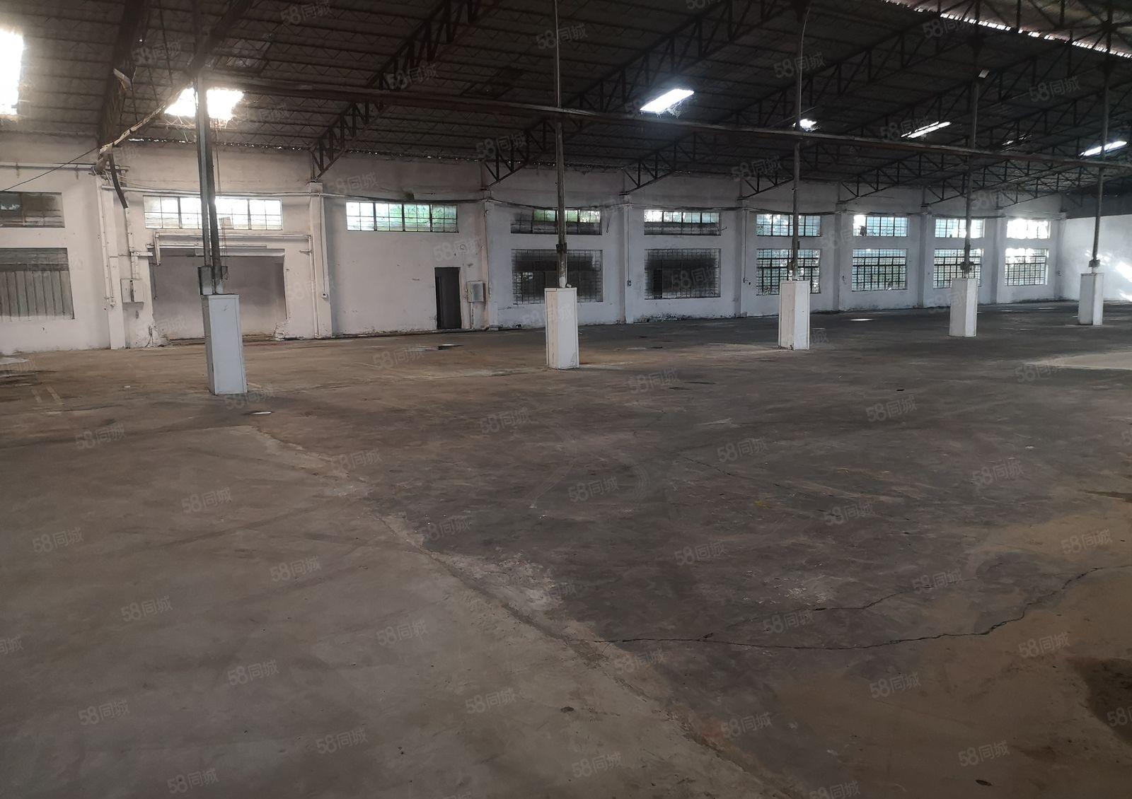 东城主山独栋厂房 钢构厂房单一层适合各行各业篮球馆等等