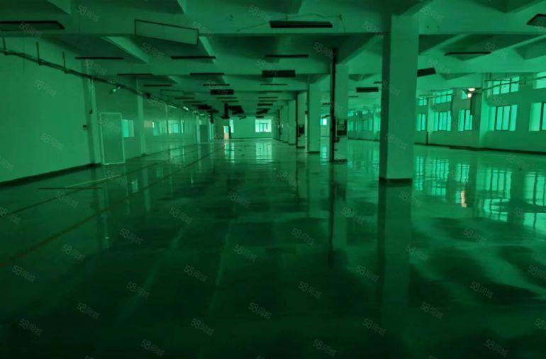 东城超靓厂房1700平全新装修（无尘车间）租金便宜