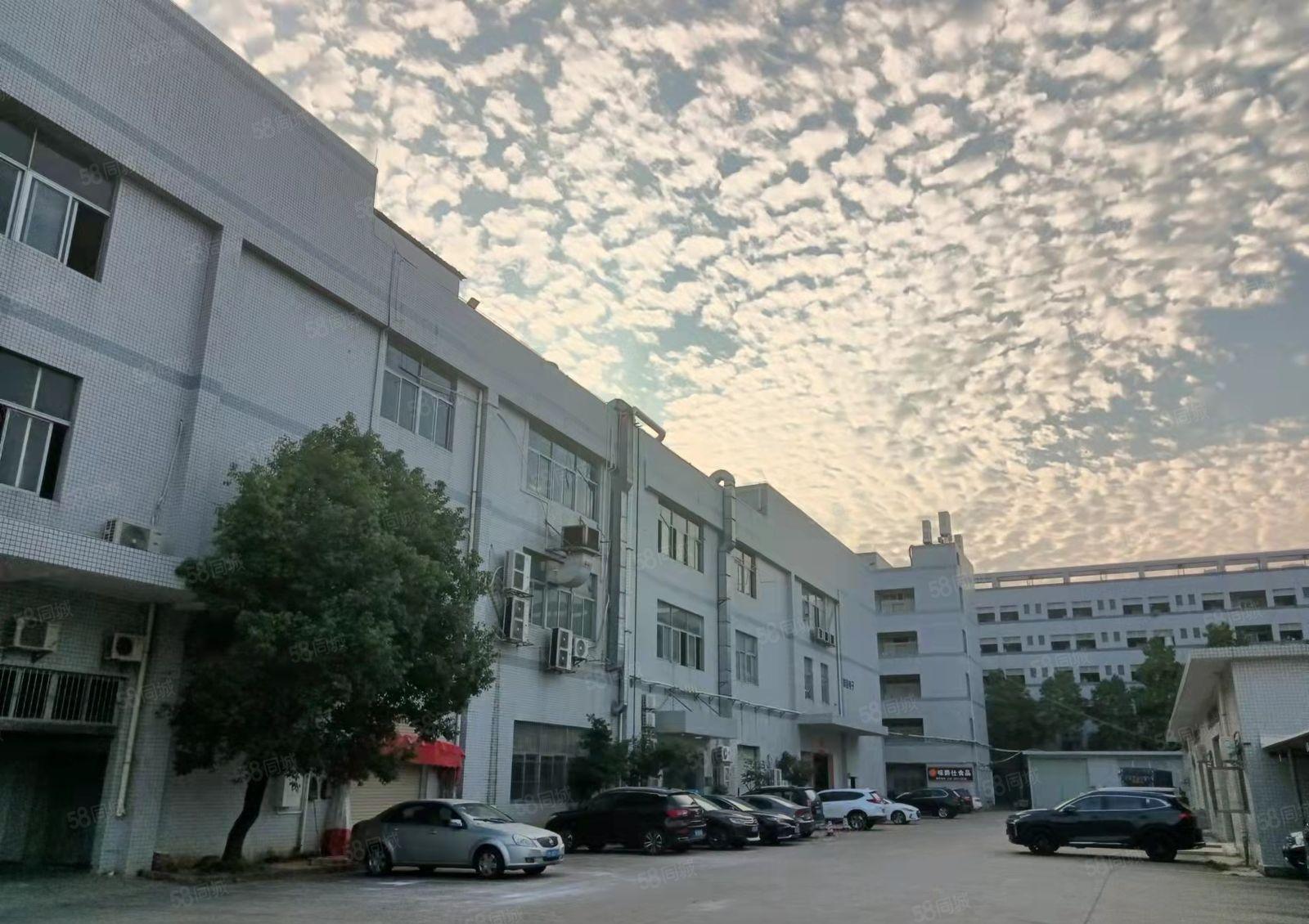 东城牛山工业聚集区，1楼厂房1100平。