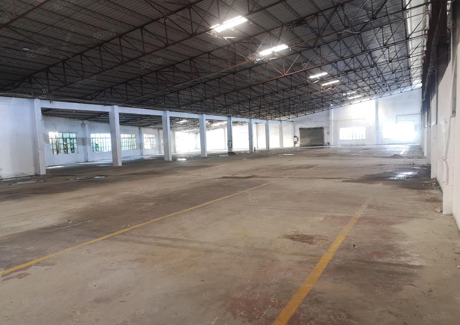 东城主山独栋厂房 钢构厂房单一层适合各行各业篮球馆等等