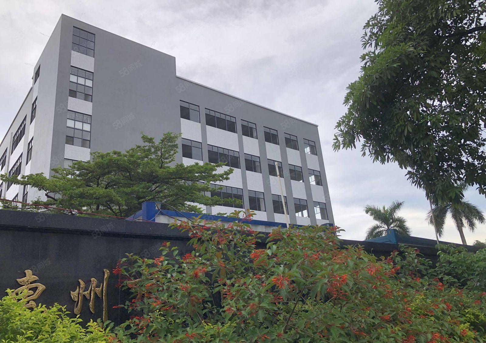 原房东全新独院5层19500宿舍2500 现房招租可分租