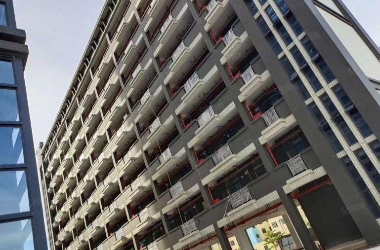 全新现代化厂房出租，首层9.2米高，租金楼上价