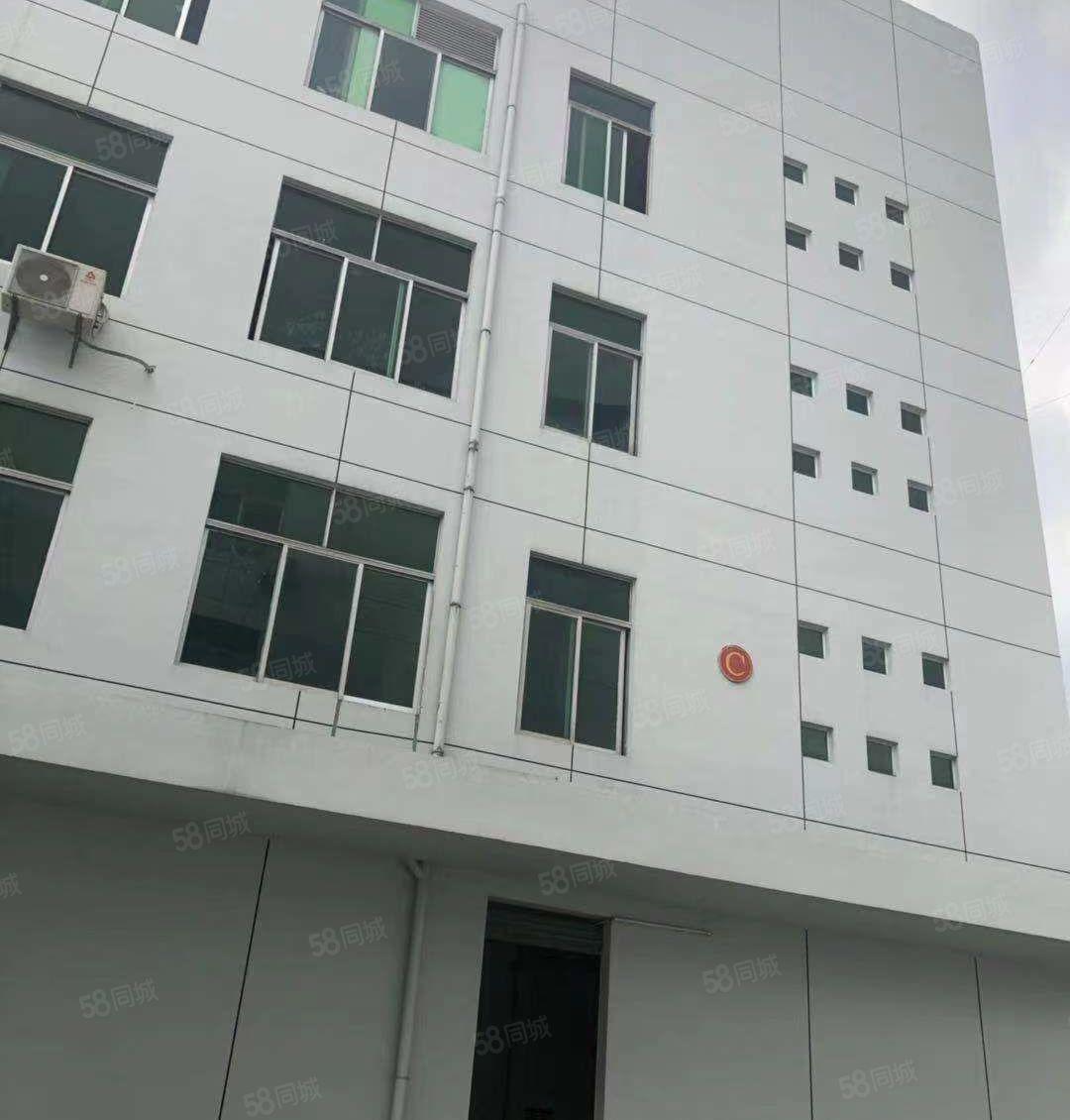 东城主山成熟工业园区厂房招租。