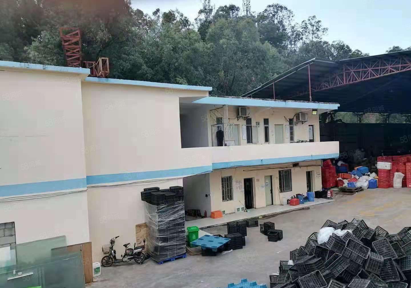 东城桑园厂房出租1200平方米一楼