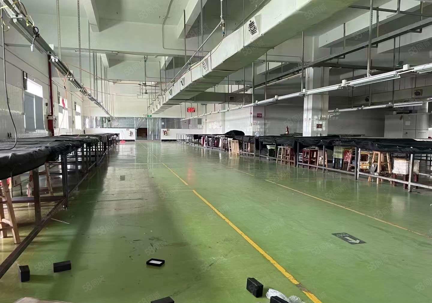 明年空出花园式独院厂房9000平，工业集聚区可办环评