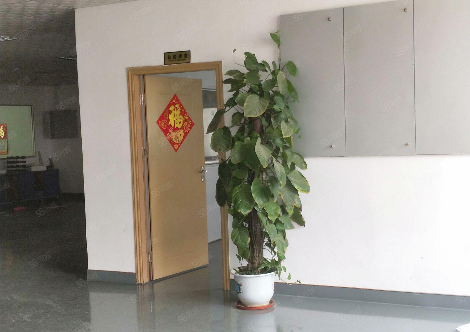 东城 光明 经典 小独院 单一层 钢构 800平方,租金便宜