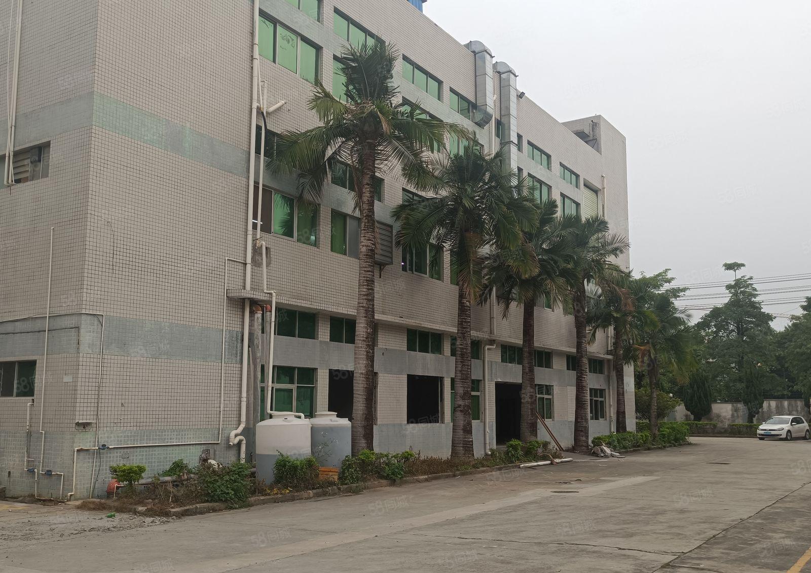 东城周屋800平方厂房底价急租，8元不议价，先到先得！