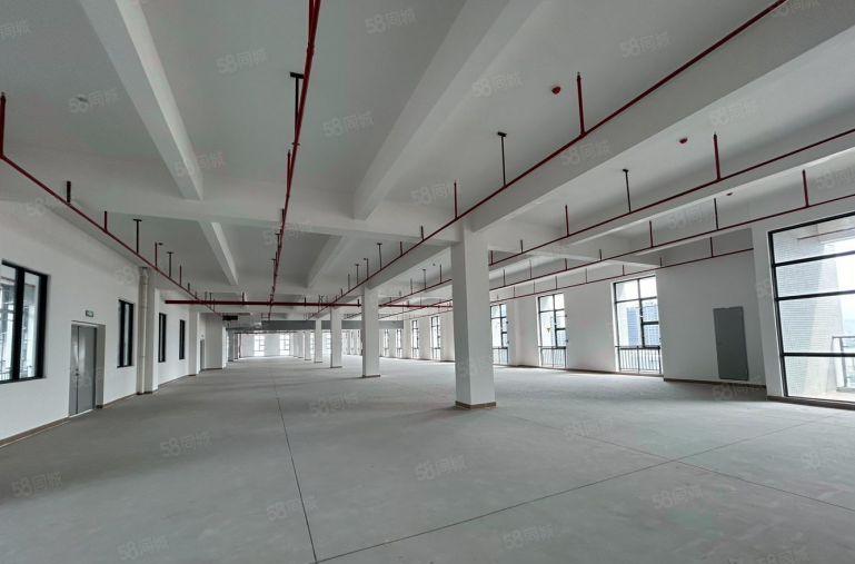 虎门厂房出租可办环评一楼加楼上5000方大小可分租