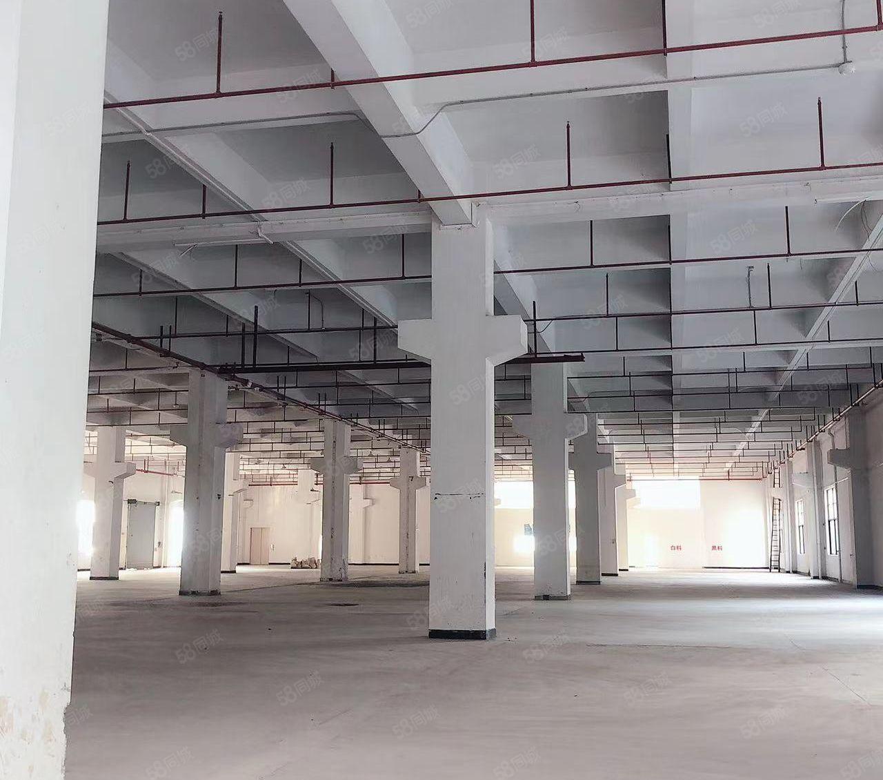 虎门镇威远厂房一楼二楼各3580平方厂房出租可以分租