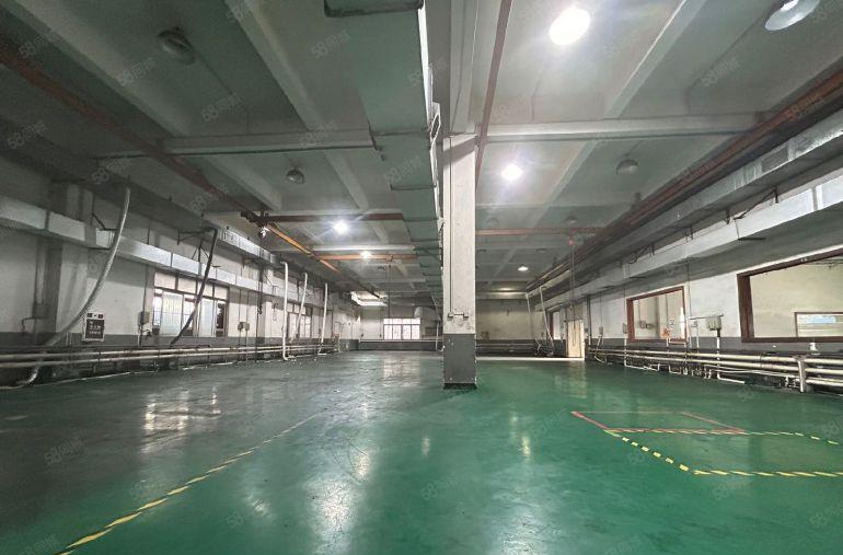 虎门怀德原房东独门独院4800平米精装装修厂房出租可分租