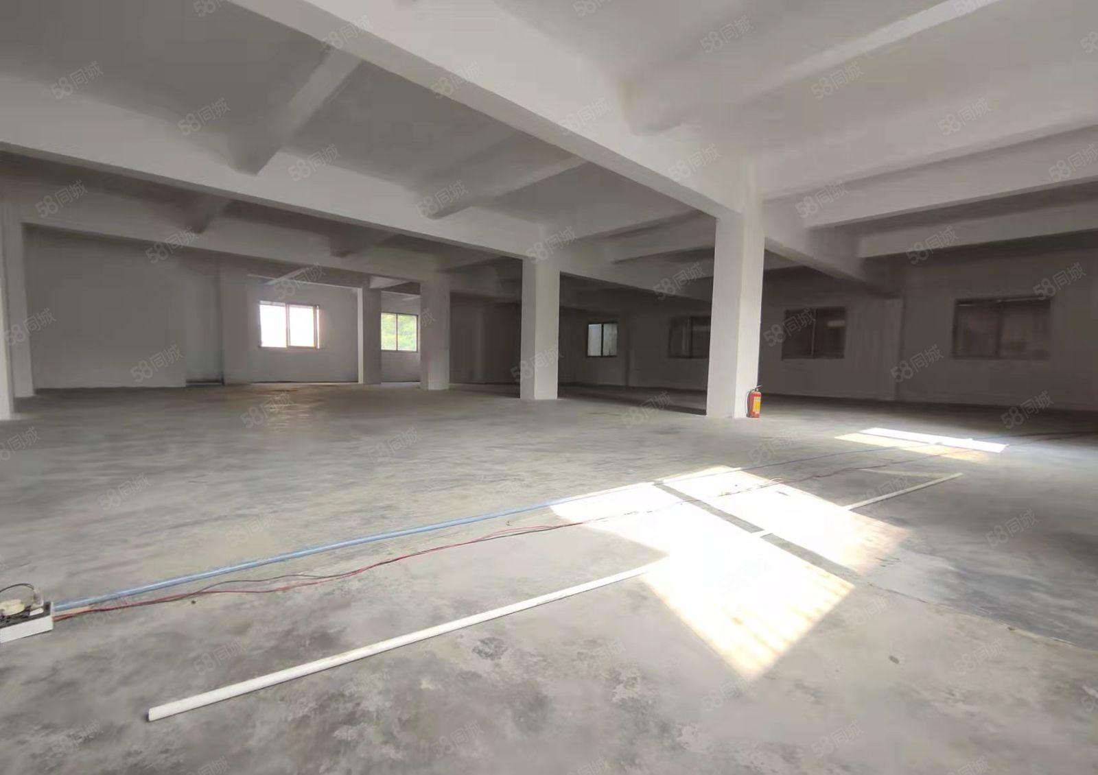 东风社区本地一手房东厂房招租，每层580平方，300平方起租