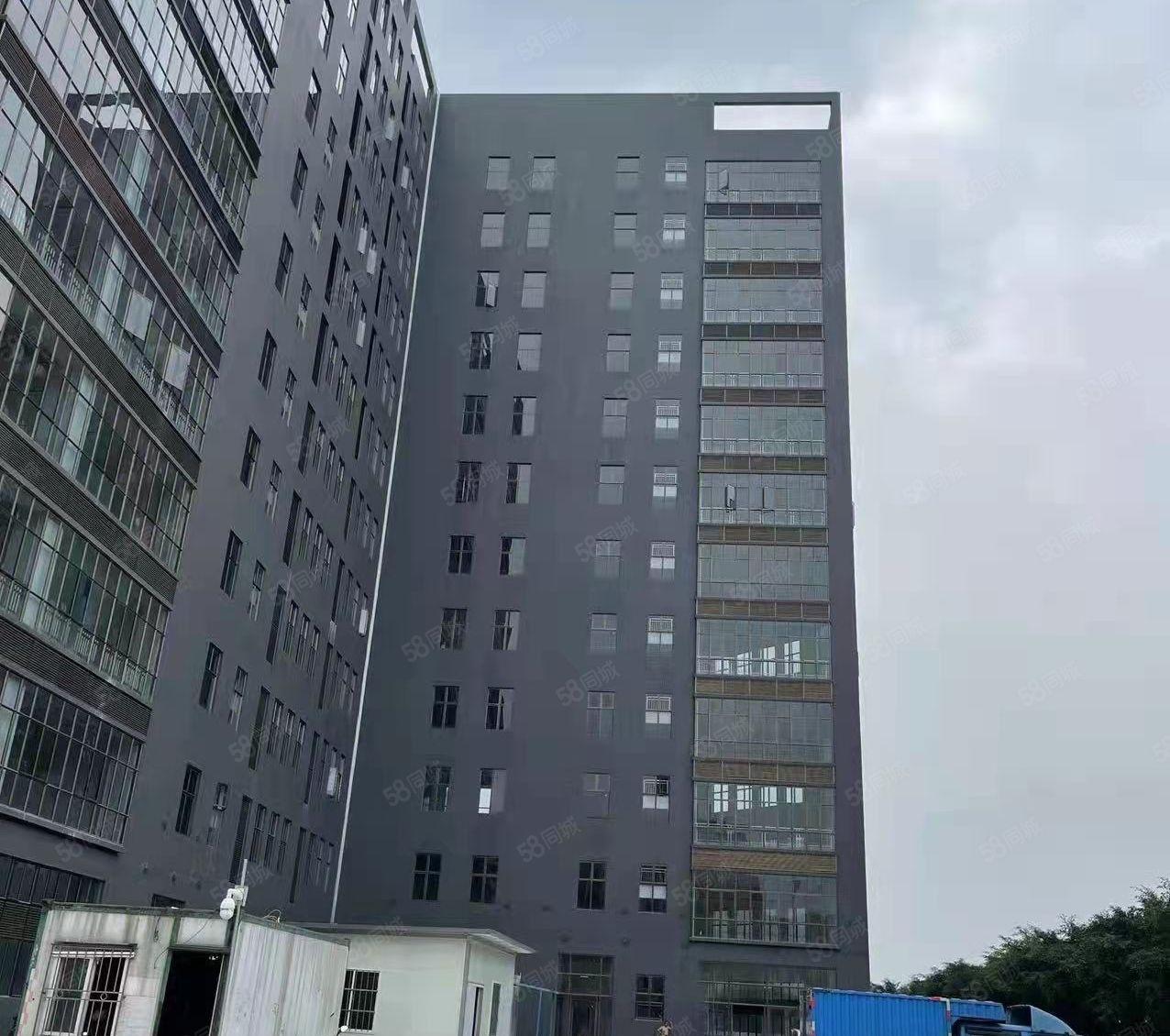 虎门北侧独门独院全新厂房可整租分租高水滴10米