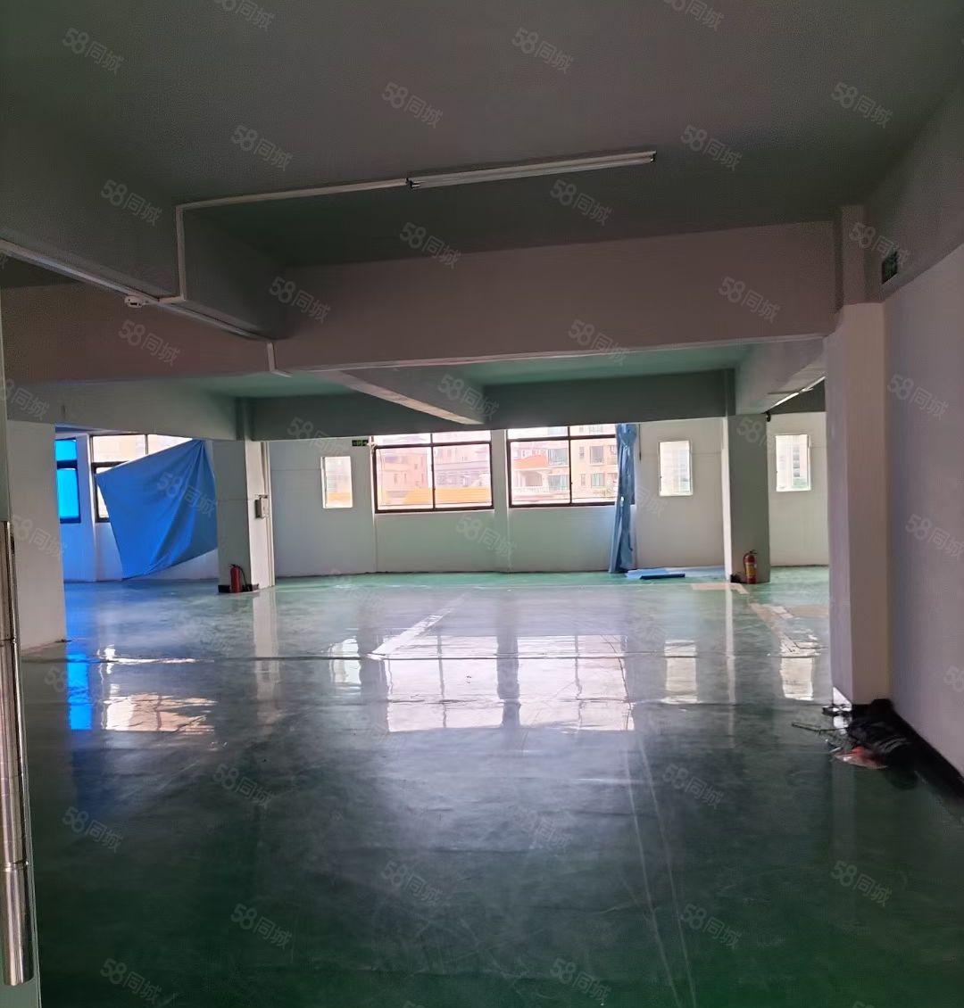 虎门白沙新空出原房东厂房4楼516平方 水电齐全！