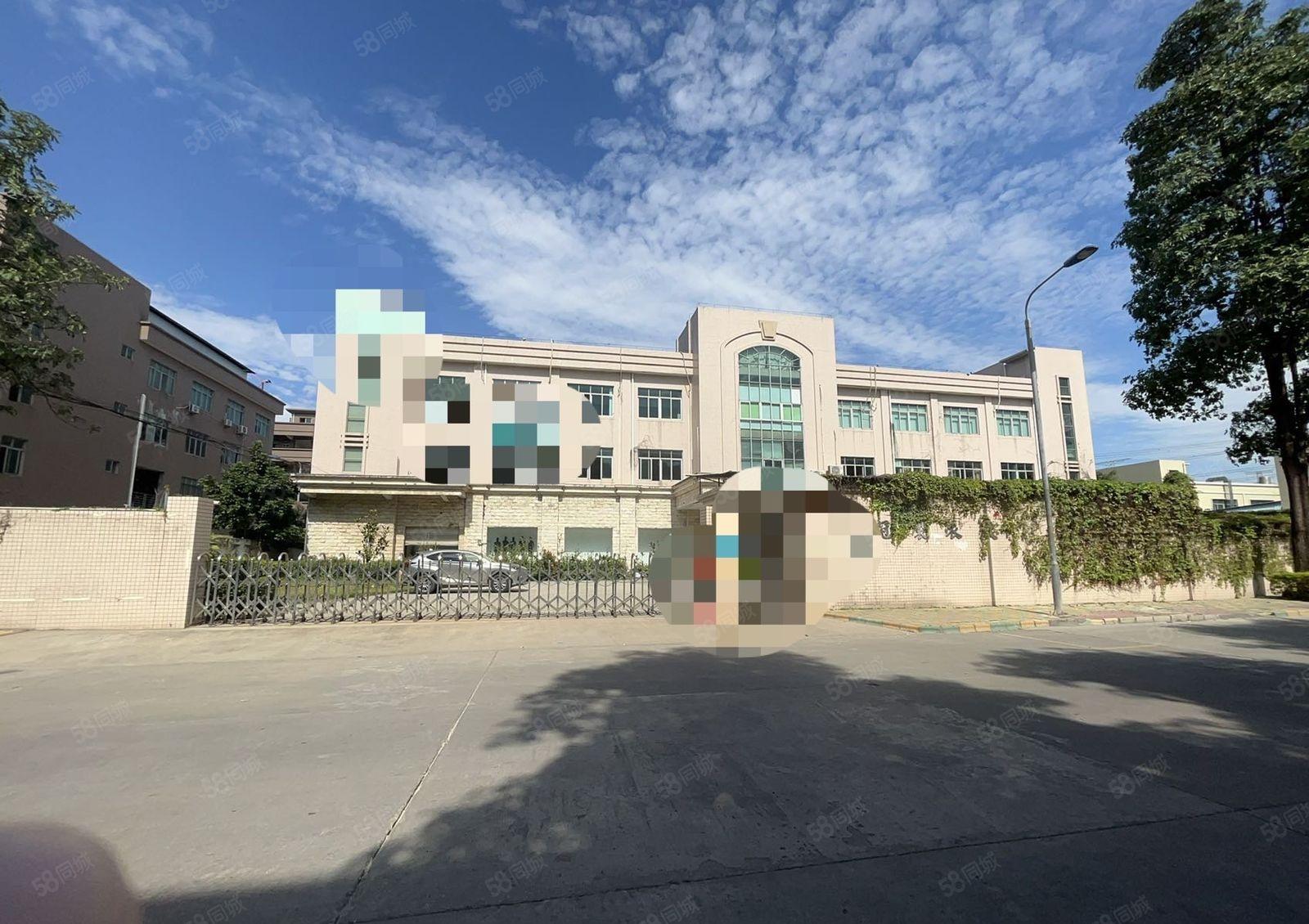 虎门镇一手房东带红本花园式经典独门独院厂房，实际面积！可分租