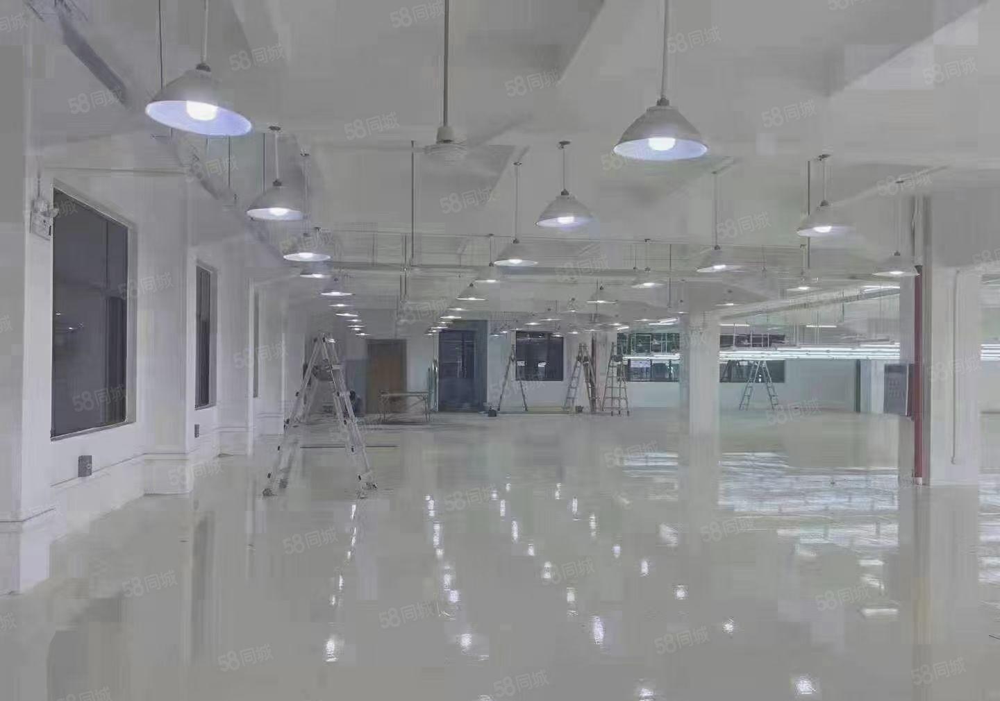 虎门镇新联工业区厂房二楼1000平方