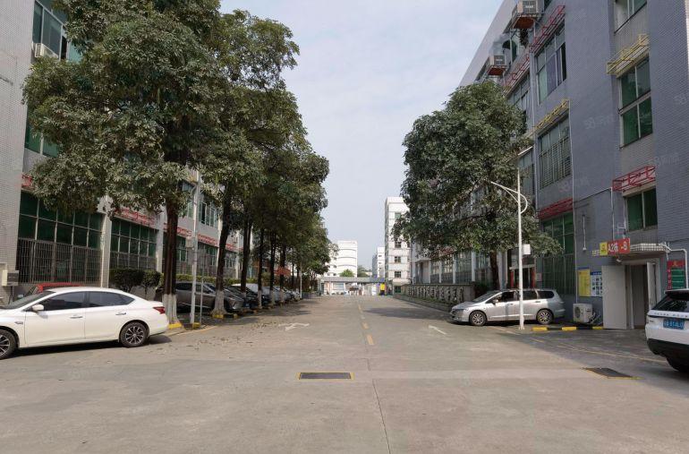 300起分租虎门龙眼3万平园区厂房仓库出租一楼18元楼上9元