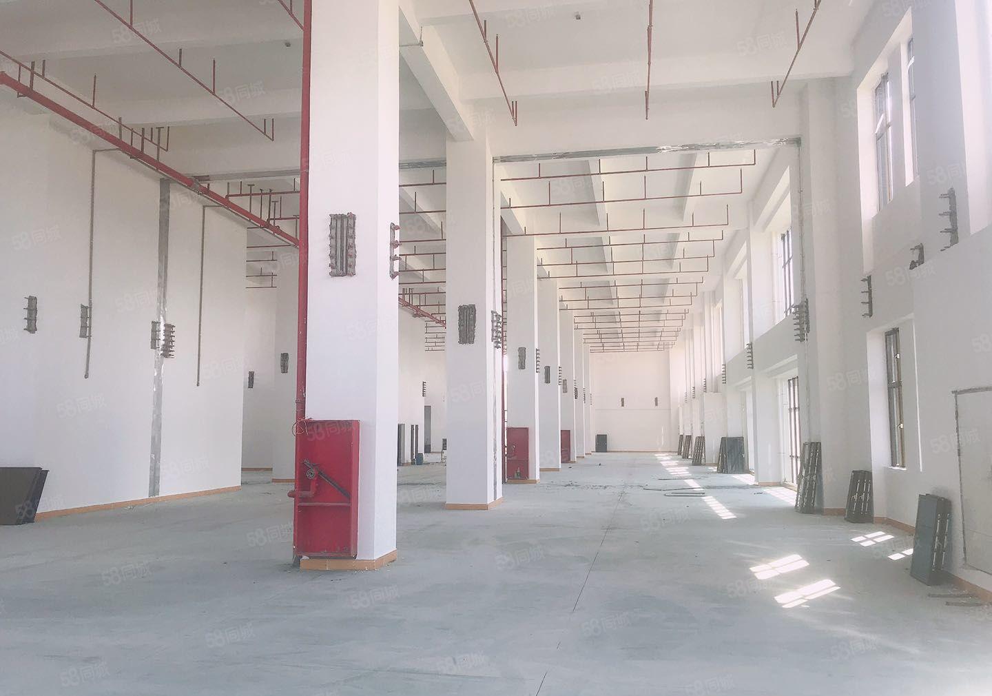 虎门镇怀德社区原房东新建独院厂房30000平方厂房出租可分租