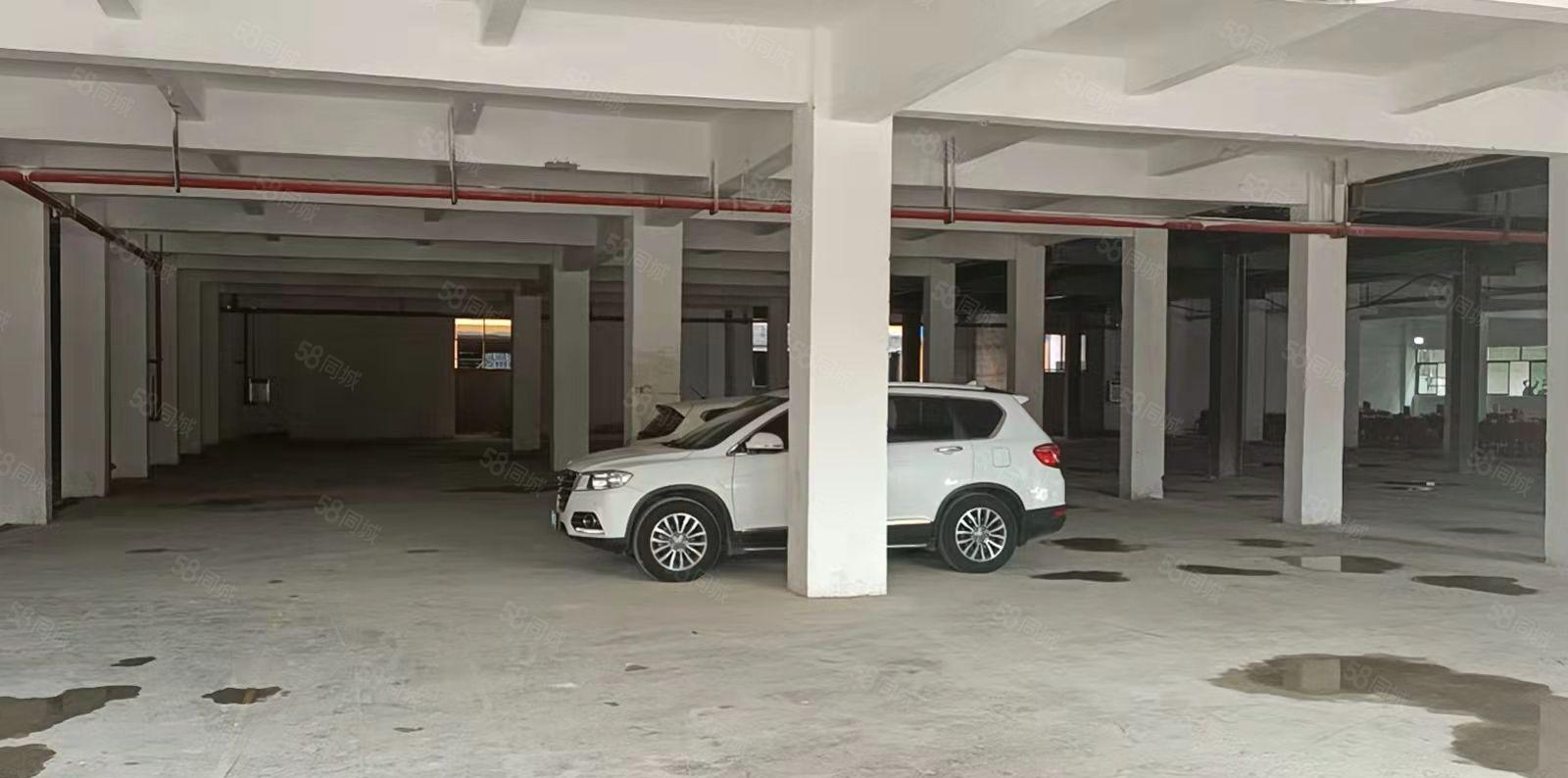 虎门小捷滘园区厂房已全部翻新.园区总面积6.5万平方出租。