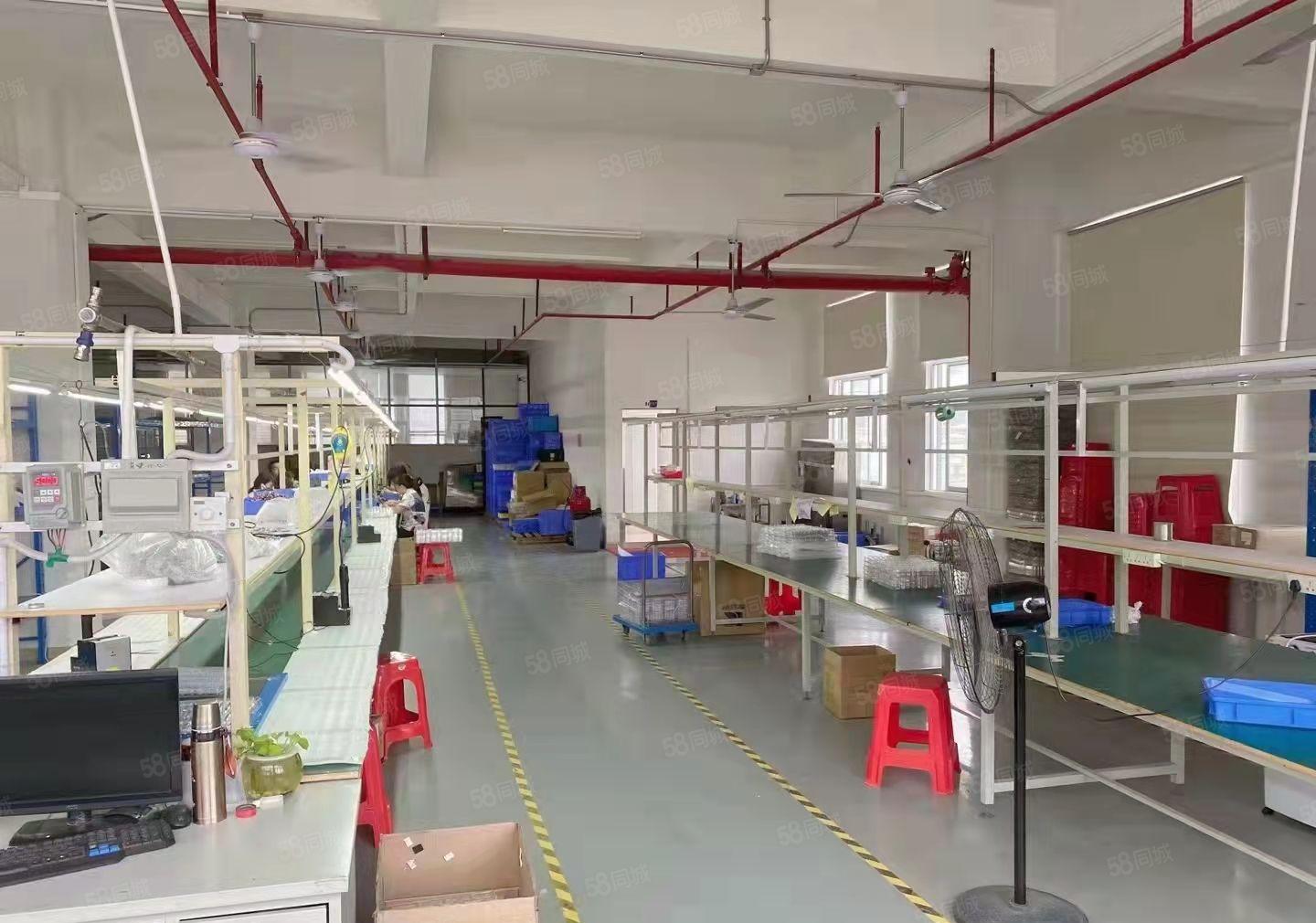 出租虎门雅瑶4楼1600平，水电办公齐全园区高大上