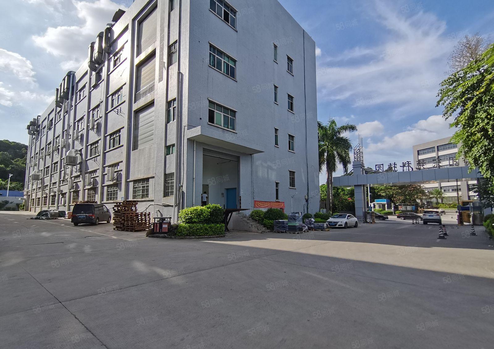 1000起租虎门守恒五金科技原房东18800平花园式厂房出租