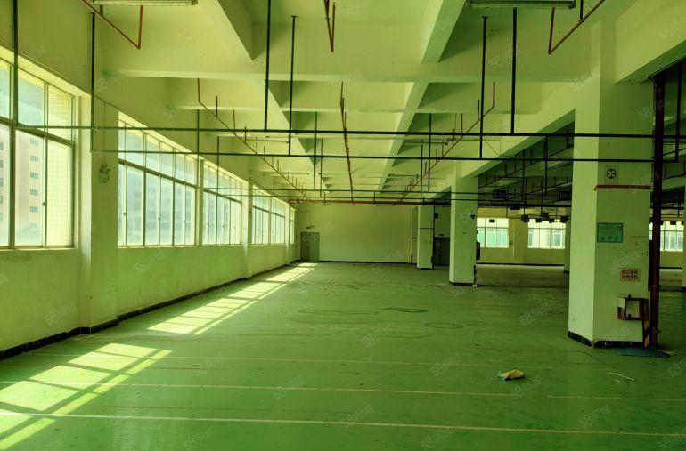 电商仓库，虎门镇三层独栋9600方仓库出租，丙二类消防喷淋