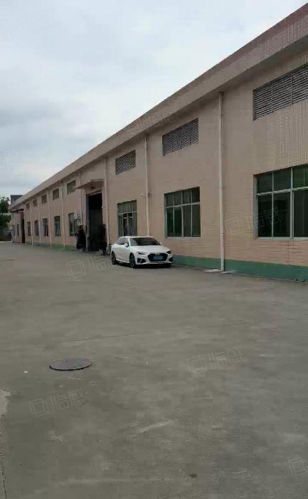 虎门新出原房东单一层钢构1500平方，砖墙到顶，实际面积出租