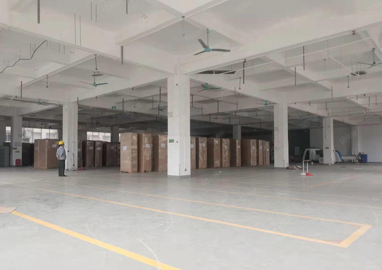 虎门镇大型花园式厂房招租，空地大，（大小可分）