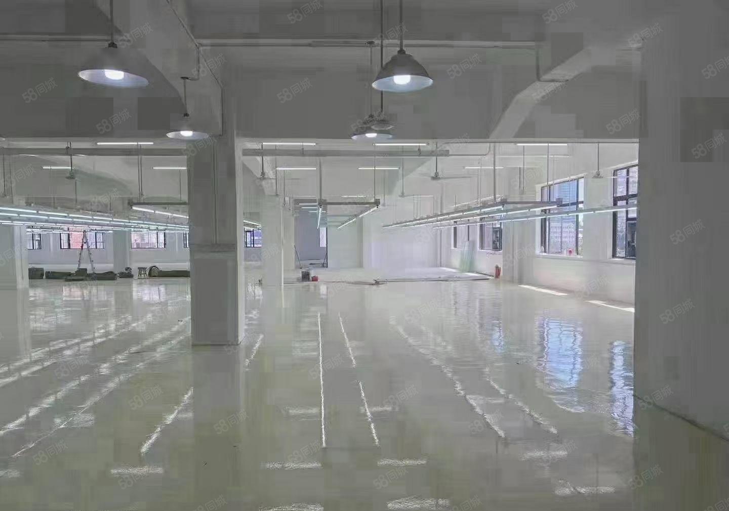 虎门镇新联工业区厂房二楼1000平方