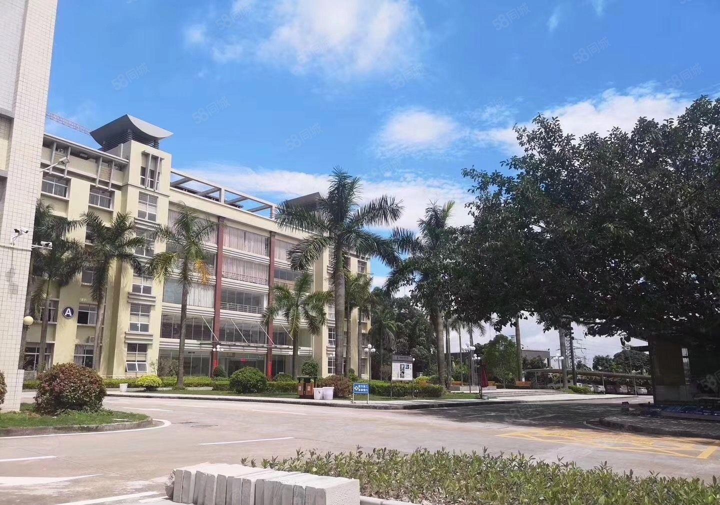 虎门滨海湾新区花园式厂房2000至8000平厂房出租可分租