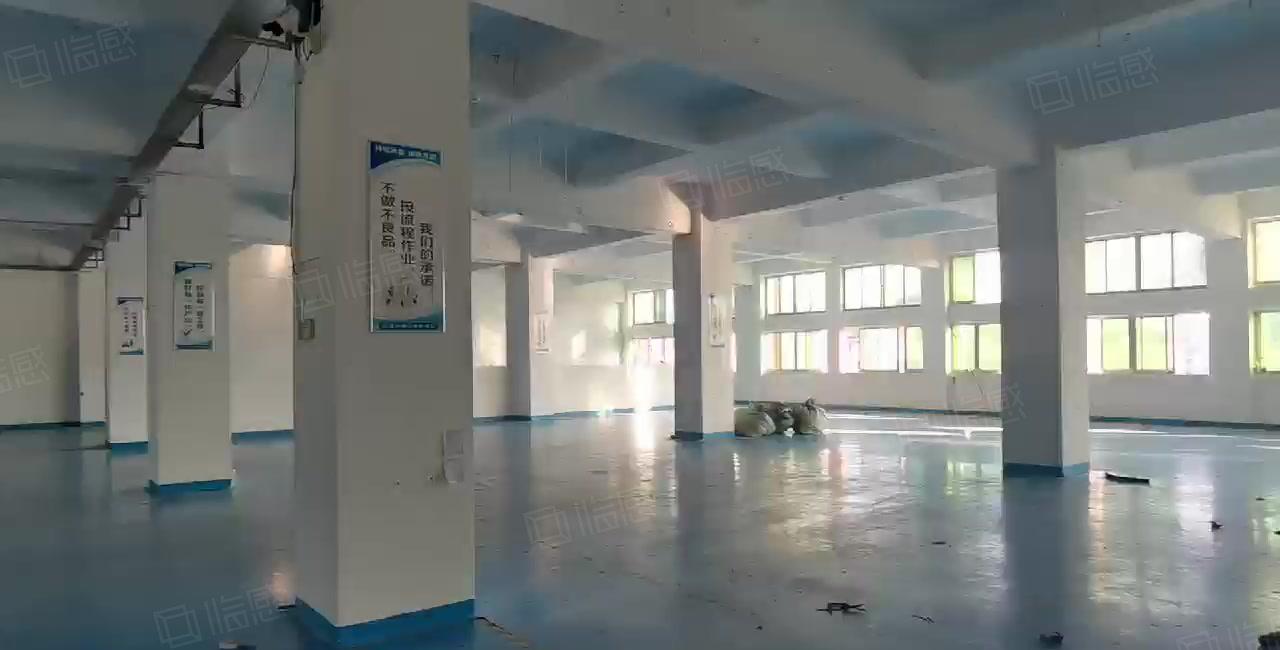 厂房出租虎门龙眼新出楼带办公室装修1800