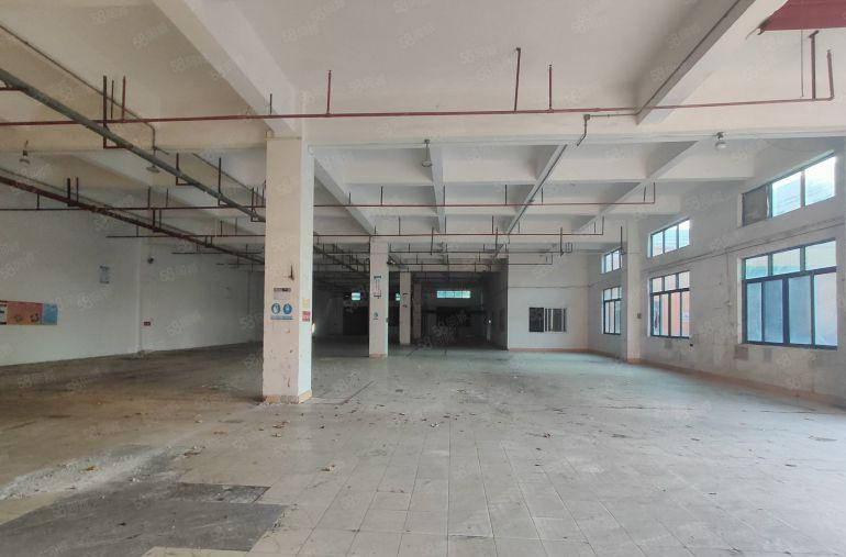 虎门原房东独门独院厂房出租空地超大形象漂亮工衣用地