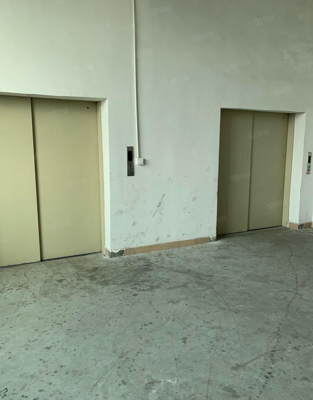 虎门镇新出精装修1750平厂房出租可分租可办环评