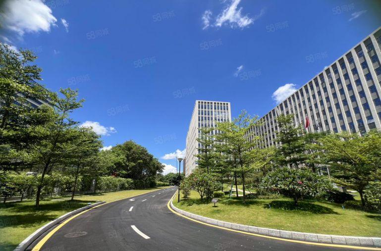 虎门北栅工业区原房东14万平红本厂房500平起分租有消防喷淋