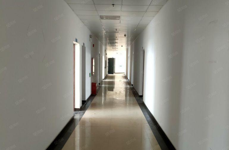 豪华装修，虎门镇央企精装修办公室出租，可分租，花园式环境