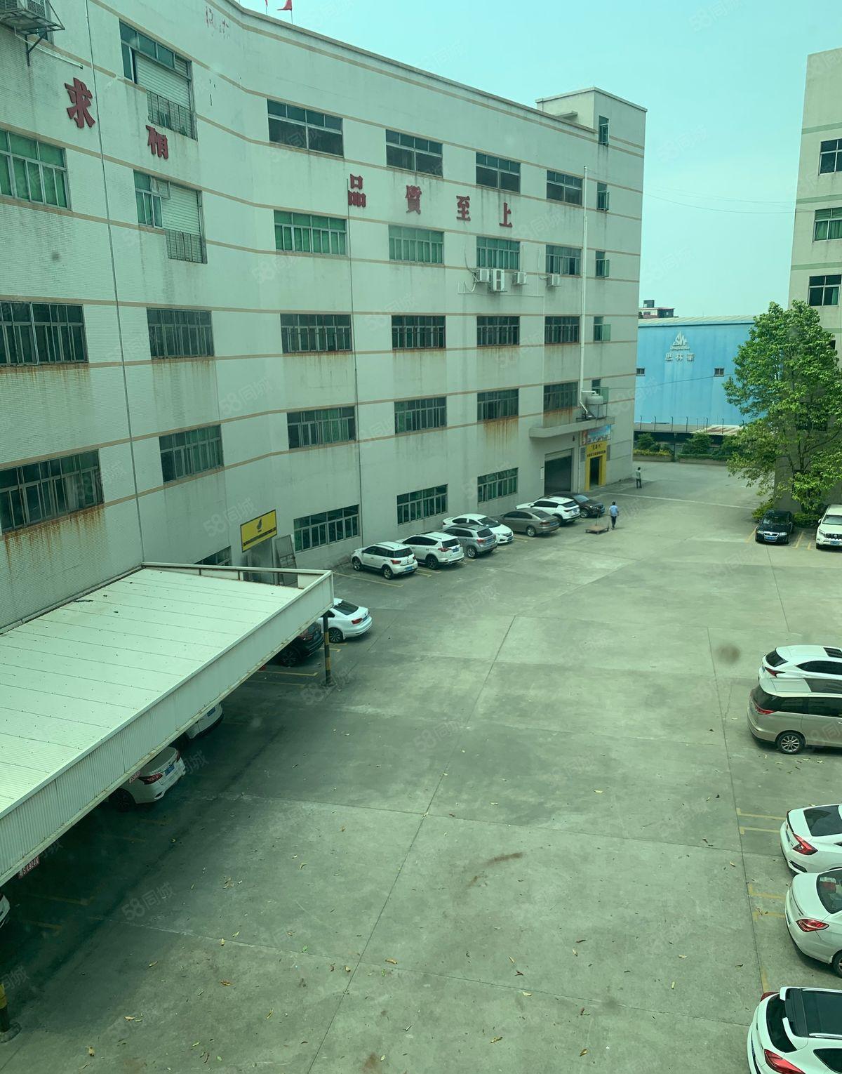 虎门一楼500平二楼900平带办公室装修厂房出租低价分租