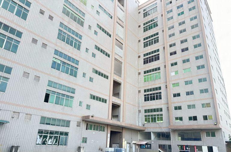 虎门沙角路东靠近长安独门独院厂房，空地大，好停车，易招工