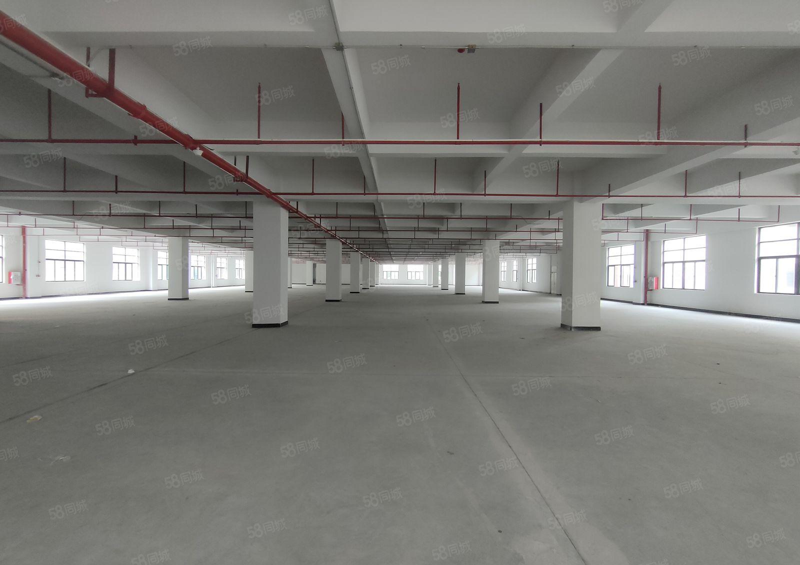 笋盘！虎门镇白沙二楼3580方花园式厂房出租现成消防喷淋