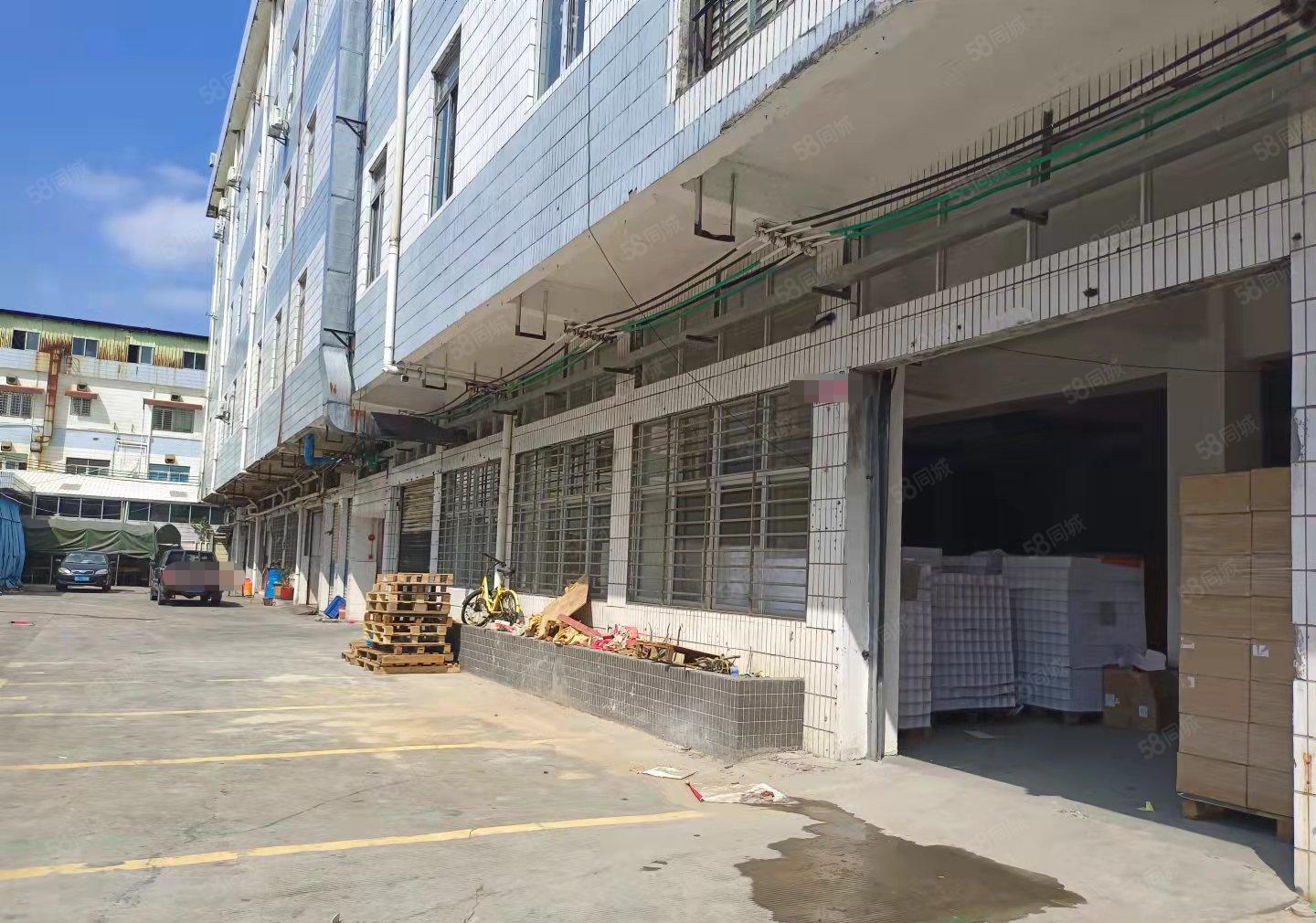 虎门镇南栅社区空出一楼550平厂房出租