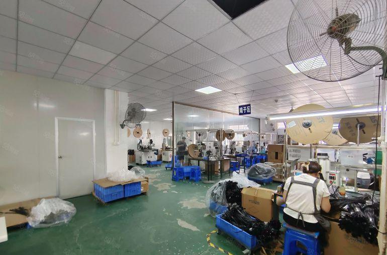 虎门树田200平起分13元，有现成办公室，地坪漆厂房仓库出租