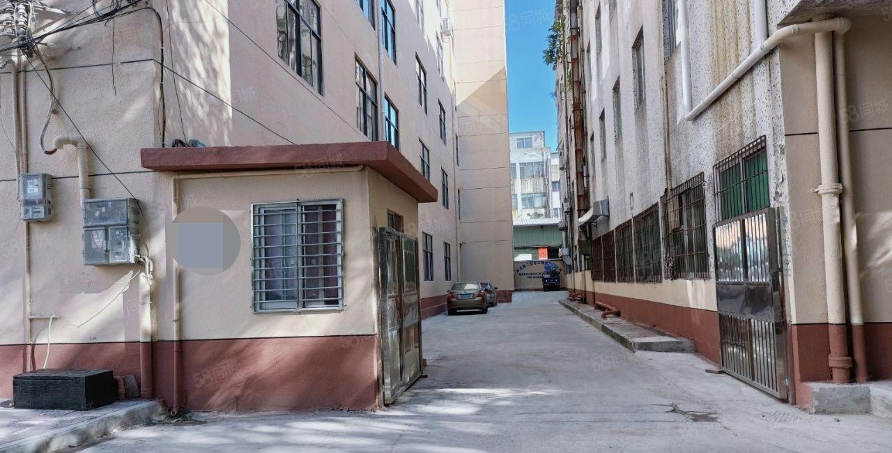 虎门 独院厂房不限电地坪漆可办环评