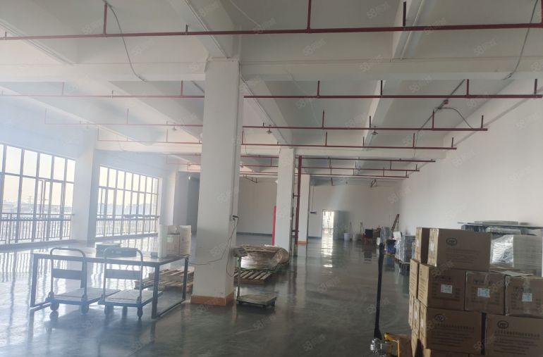 虎门镇怀德原房东独门独院8000平方厂房出租  可以分租