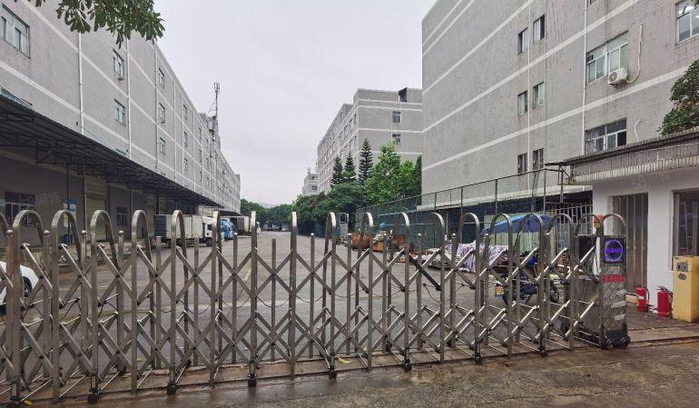 虎门赤岗独院花园式超靓厂房出租