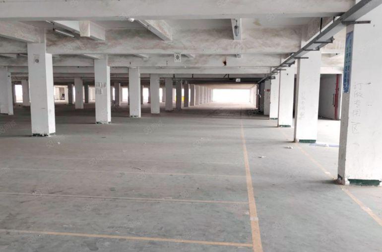 虎门独院厂房9.9元出租，空地大，交通好